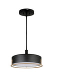 [502201] MRLPD022 LED Pendant and Semi-Flush Mount Light 2 in 1