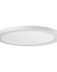 LED dimmable matte white 12" flush mount ceiling light 